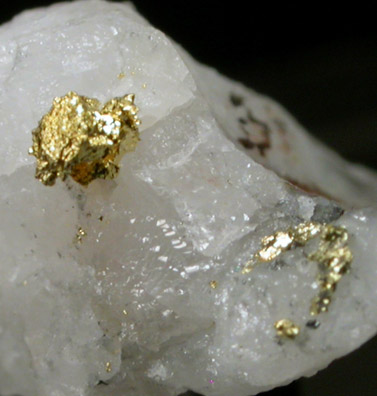 Gold on Quartz from Harvard Mine, Jamestown District, Tuolumne County, California