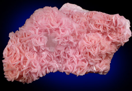 Rhodochrosite from Cavnic Mine (Kapnikbanya), Maramures, Romania (Type Locality for Rhodochrosite)