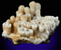 Calcite (stalactitic) from Wyandotte Cave, Crawford County, Indiana