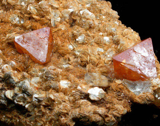 Scheelite, Muscovite, Quartz, Rutile from (Pingwu), Sichuan, China