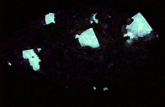 Scheelite, Muscovite, Quartz, Rutile from (Pingwu), Sichuan, China