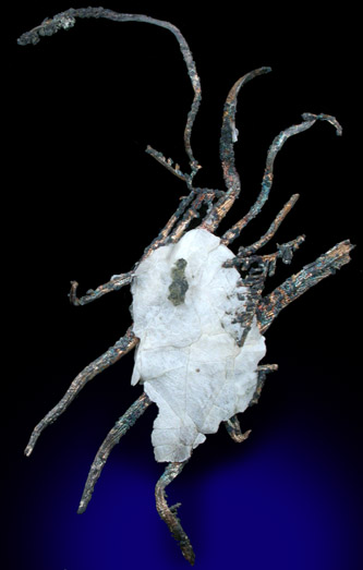 Silver in Calcite from Andres del Rio District, Batopilas, Chihuahua, Mexico