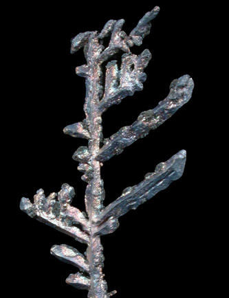 Silver from Andres del Rio District, Batopilas, Chihuahua, Mexico