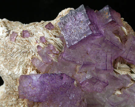 Fluorite on Barite from Caldwell Stone Quarry, Danville, Boyle County, Kentucky