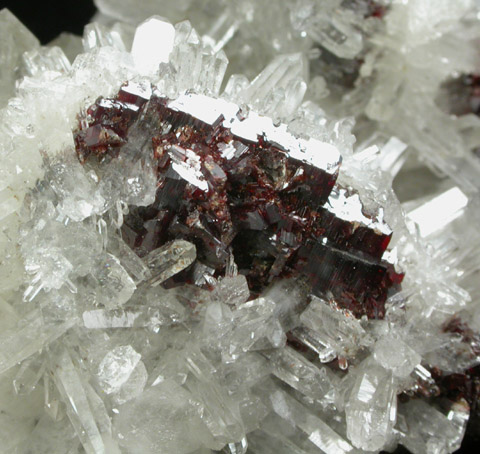 Brookite (twinned crystals) on Quartz from St. Gotthard, Kanton Uri, Switzerland