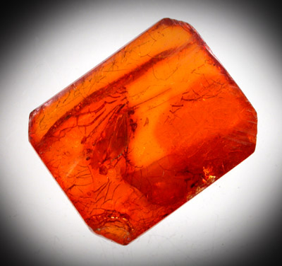 Amber with insect inclusion from Kaliningrad (formerly Knigsberg, East Prussia), Kaliningradskaya Oblast', Russia