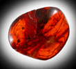 Amber from Kaliningrad (formerly Knigsberg, East Prussia), Kaliningradskaya Oblast', Russia