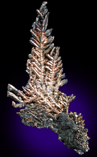 Silver from Andres del Rio District, Batopilas, Chihuahua, Mexico