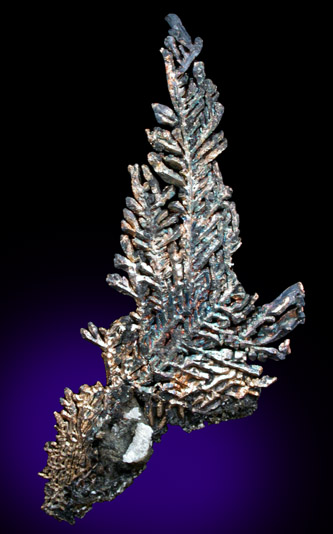 Silver from Andres del Rio District, Batopilas, Chihuahua, Mexico