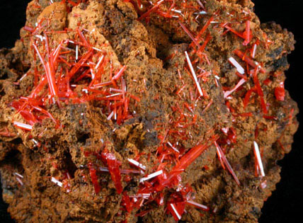 Crocoite from Adelaide Mine, Dundas, Tasmania, Australia