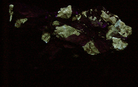 Molybdenite, Actinolite, Powellite from Gold Hill Mine, Tooele County, Utah