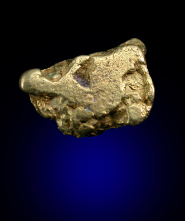 Gold (weight: 7.85 grains) from East Branch Swift River, near Byron, Oxford County, Maine