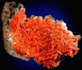 Crocoite from Adelaide Mine, Dundas, Tasmania, Australia