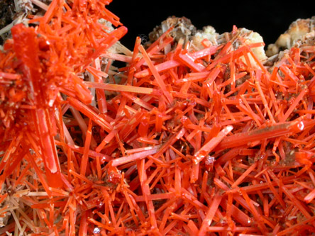 Crocoite from Adelaide Mine, Dundas, Tasmania, Australia