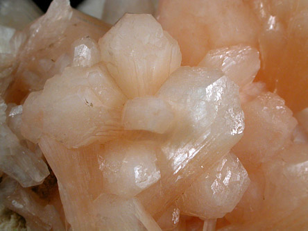 Stilbite-Ca from Aurangabad, Maharashtra, India