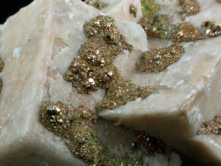 Calcite with iridescent Pyrite from Borosilikatnoye deposit, Dalnegorsk, Primorskiy Kray, Russia