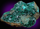 Atacamite from Copiapo, Atacama Desert, Chile (Type Locality for Atacamite)