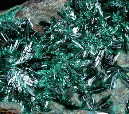 Atacamite from Copiapo, Atacama Desert, Chile (Type Locality for Atacamite)