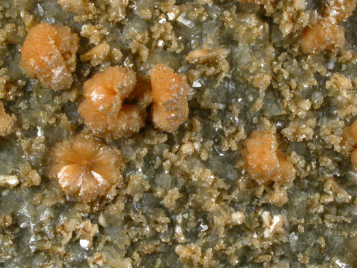 Stilbite and Calcite from Moore's Station Quarry, 44 km northeast of Philadelphia, Mercer County, New Jersey