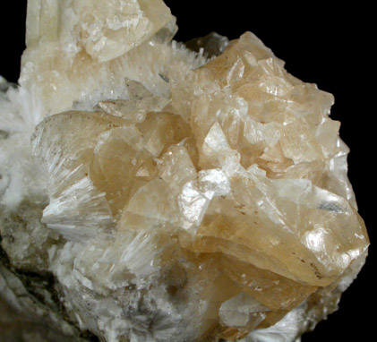 Calcite and Natrolite from Moore's Station Quarry, 44 km northeast of Philadelphia, Mercer County, New Jersey