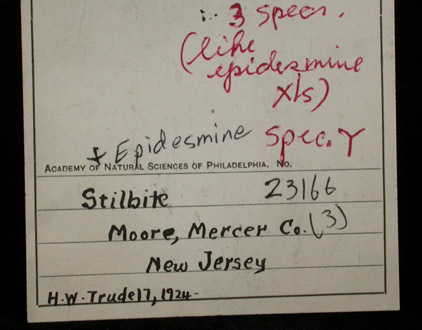 Stilbite var. Epidesmine from Moore's Station, Mercer County, New Jersey