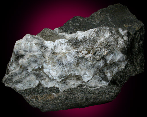 Natrolite from Moore's Station Quarry, 44 km northeast of Philadelphia, Mercer County, New Jersey