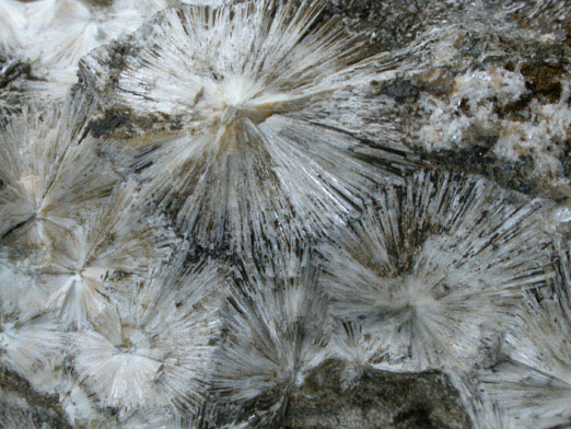 Natrolite from Moore's Station Quarry, 44 km northeast of Philadelphia, Mercer County, New Jersey