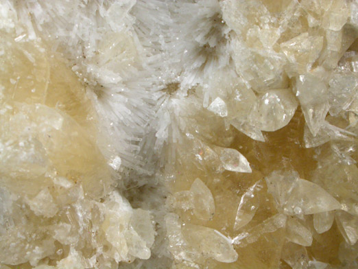 Calcite on Natrolite from Moore's Station Quarry, 44 km northeast of Philadelphia, Mercer County, New Jersey