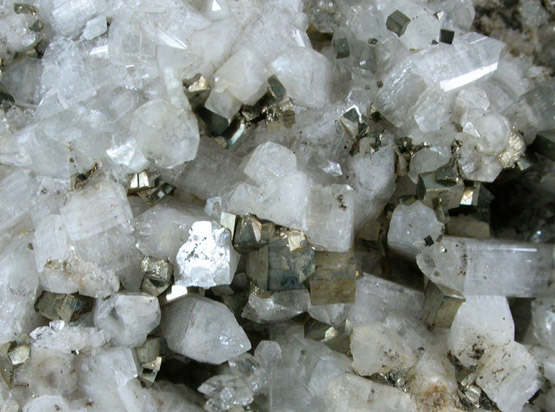 Pyrite and Apophyllite from Bergen Hill, Hudson County, New Jersey
