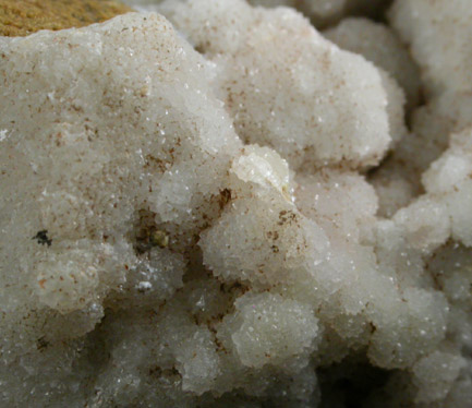Magnesite on Serpentine from Hoboken, Hudson County, New Jersey