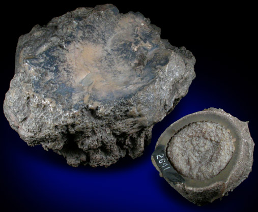 Quartz pseudomorphs after Sponge from Vincentown, Burlington County, New Jersey