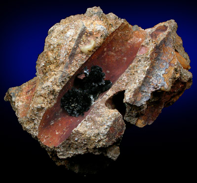 Vivianite in cast after a Belemnite from Mullica Hill, Gloucester County, New Jersey
