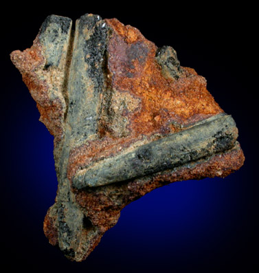 Vivianite pseudomorphs after Belemnites from Mullica Hill, Gloucester County, New Jersey