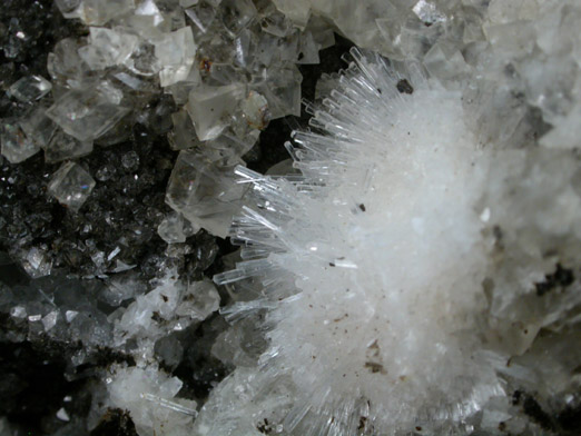 Natrolite and Calcite from Bergen Hill, Hudson County, New Jersey