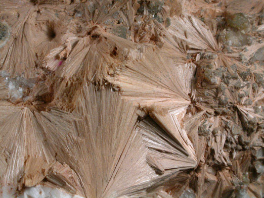 Stevensite pseudomorphs after Pectolite with Calcite and Stilbite from Paterson, Passaic County, New Jersey