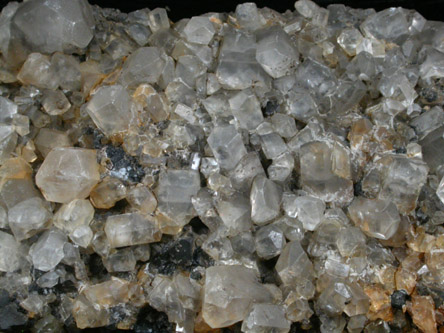 Calcite with Pyrite from Martinsburg, Lewis County, New York