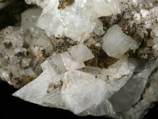 Galena (or Limonite pseudomorphs after Pyrite) on Calcite from Laurel Hill (Snake Hill) Quarry, Secaucus, Hudson County, New Jersey