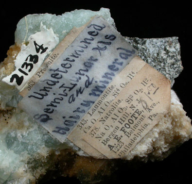 Natrolite, Laumontite, Datolite, Prehnite from Paterson, Passaic County, New Jersey