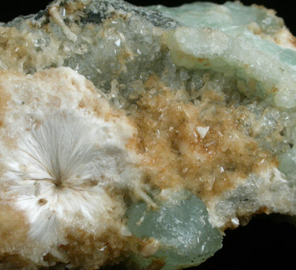 Natrolite, Laumontite, Datolite, Prehnite from Paterson, Passaic County, New Jersey