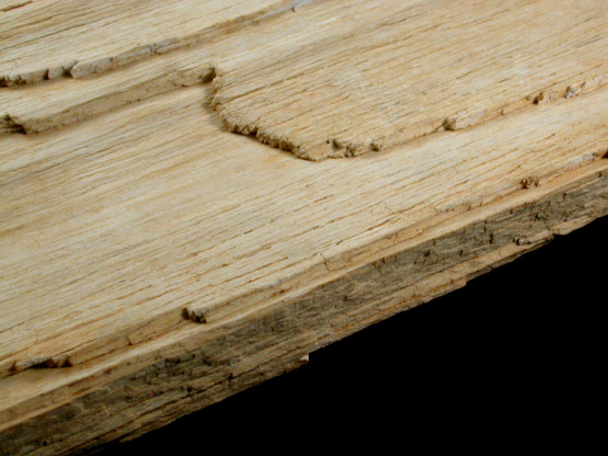 Quartz var. Petrified Wood from Gibbsboro, Camden County, New Jersey