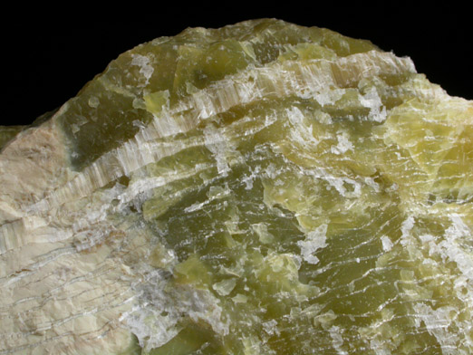 Serpentine and Chrysotile from Montville, Morris County, New Jersey