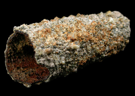 Limonite pseudomorph after Belemnite from Edwards Run, Center City, Gloucester County, New Jersey