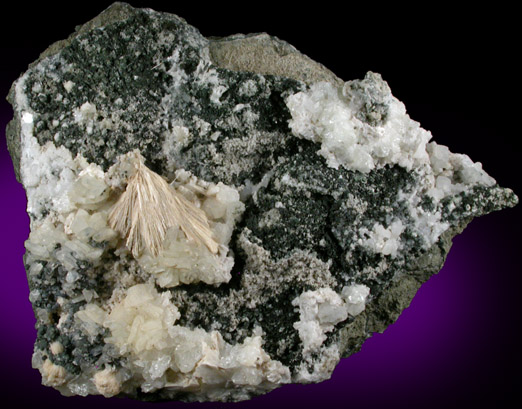 Datolite, Pectolite, Clinochlore var. Diabantite from Paterson, Passaic County, New Jersey