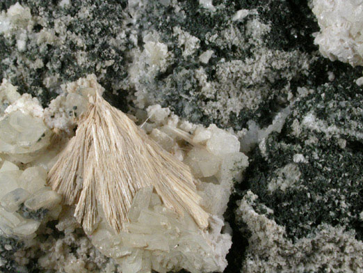 Datolite, Pectolite, Clinochlore var. Diabantite from Paterson, Passaic County, New Jersey