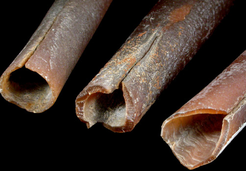 Aragonite pseudomorph after Belemnite from New Egypt, Ocean County, New Jersey