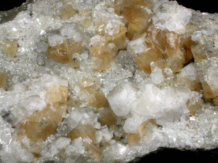 Apophyllite, Calcite, Datolite, Analcime, Quartz from Bergen Hill, Hudson County, New Jersey