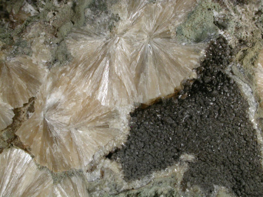Stilbite, Calcite, Stilpnomelane from Summit Quarry, Union County, New Jersey