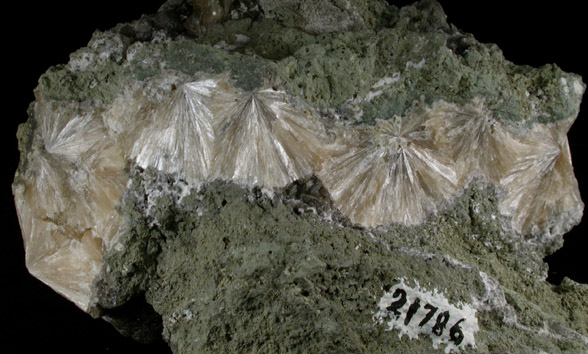 Stilbite with Apophyllite from Summit Quarry, Union County, New Jersey
