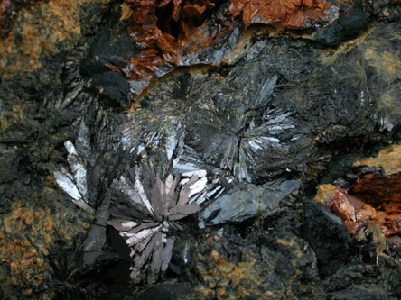 Vivianite from Mullica Hill, Gloucester County, New Jersey