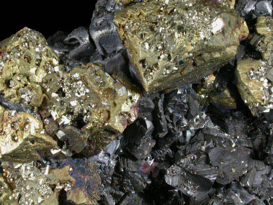 Chalcopyrite, Pyrite, Sphalerite, Galena, Quartz from Deveti Septemvri Mine, Madan District, Rhodope Mountains, Bulgaria